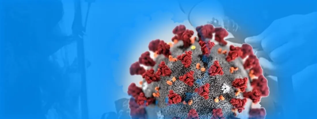Coronavirus Antibody Test