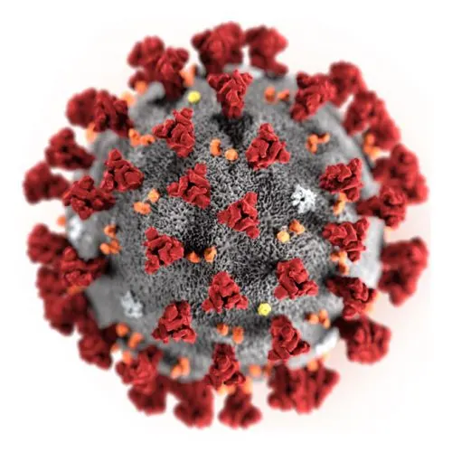 Coronavirus Israel Coronavirus in Israel – News & Resources