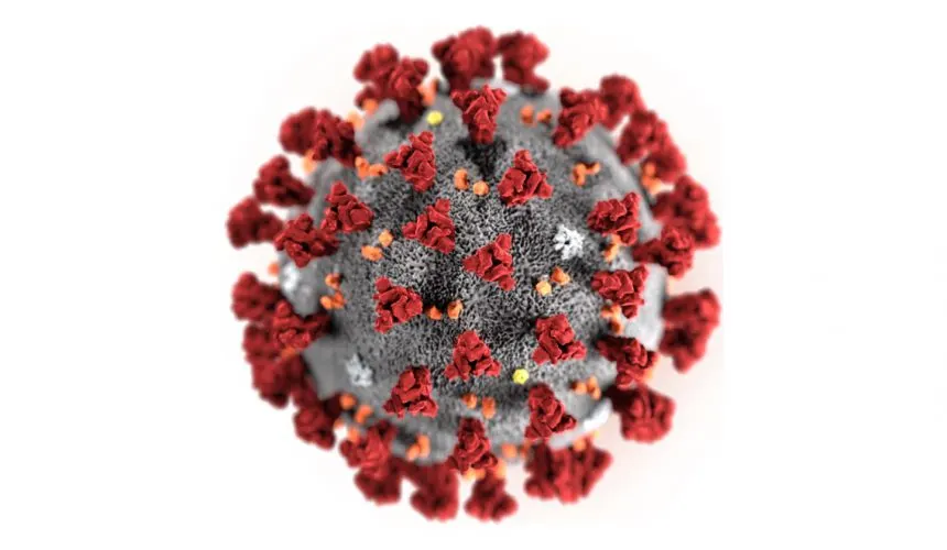 Coronavirus Israel | Tel Aviv Doctor Coronavirus in Israel - News & Resources in English | Tel Aviv Doctor