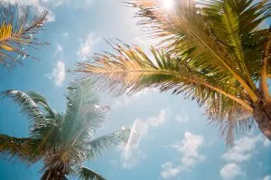 The Sunshine Deficiency: Unmasking Tel Aviv's Vitamin D Paradox