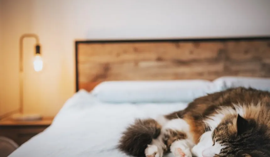 sleep medical health | Tel Aviv Doctor Sleep Disorders And Stress