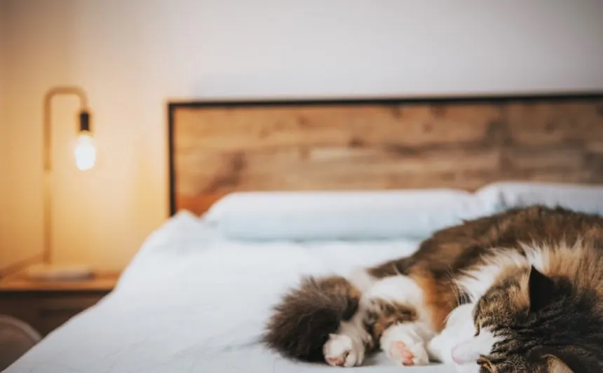 sleep medical health | Tel Aviv Doctor Sleep Disorders And Stress